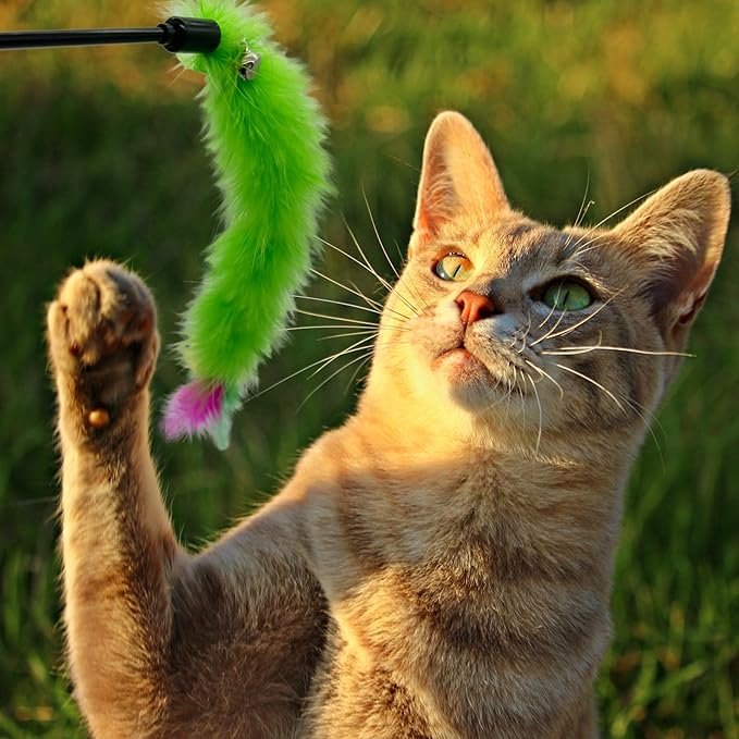 4 Cat Wand Toy Cat Feather Toys, 6 PCS Cat Feather Teaser Toy, Interactive Feather Cat Toy for Indoor Cats Play