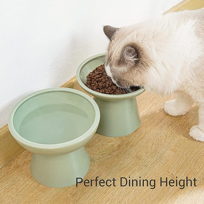 2 CEEFU 2 Extra Wide Elevated Cat Food Bowl, Ceramic Cat Bowls for Food and Water, Wide Shallow Cat Food Dish, Whisker Fatigue, Lead & Cadmium Free, Great Height for Cat