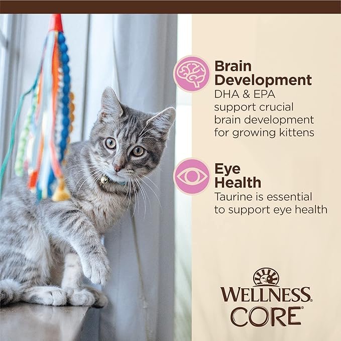 3 Wellness CORE Tiny Tasters Wet Kitten Food, Complete & Balanced Natural Pet Food, Made with Real Meat, 1.75-Ounce Pouch, 12 Pack (Kitten, Minced Chicken in Gravy)