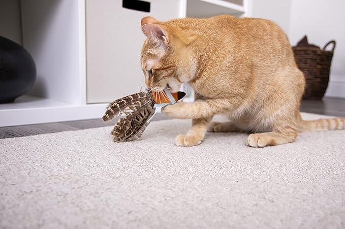 3 SmartyKat Toss-A-Fox Feather Toss & Chase Cat Toy, Randomly Selected Color - Brown OR White, One Size