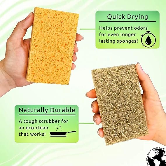 2 Eco-Sustainable 10 Pack of Natural Sponges - Biodegradable Plant-Based Dish Cleaning Sponges for Eco-Conscious Living