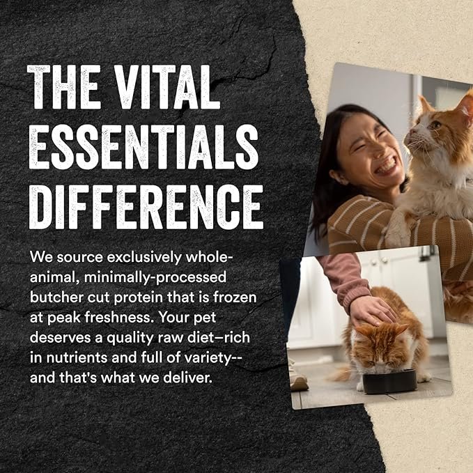 4 Vital Essentials Freeze-Dried Raw Cat Treats, Minnows Treats, 0.5 oz