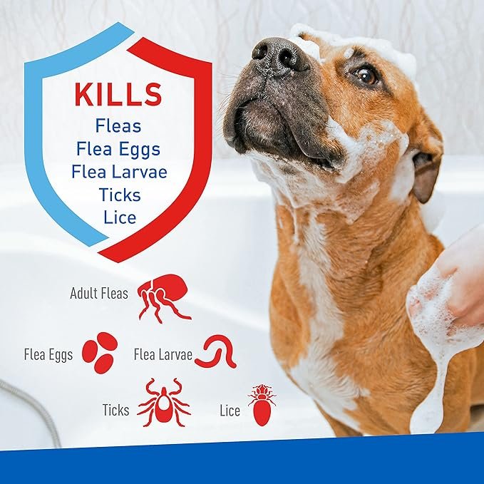 1 Adams Plus Flea & Tick Shampoo with Precor for Cats, Kittens, Dogs & Puppies Over 12 Weeks Of Age |Sensitive Skin Flea Treatment |Kills Adult Fleas, Flea Eggs, Ticks, and Lice |24 Oz, Pump Included