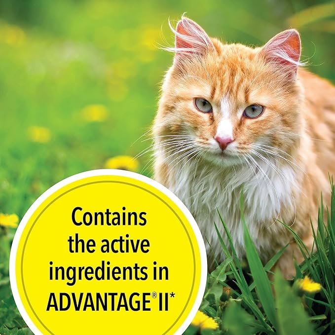 3 TevraPet Actispot II Flea Treatment for Large Cats 9+ lbs | 6 Doses | Powerful Prevention and Control