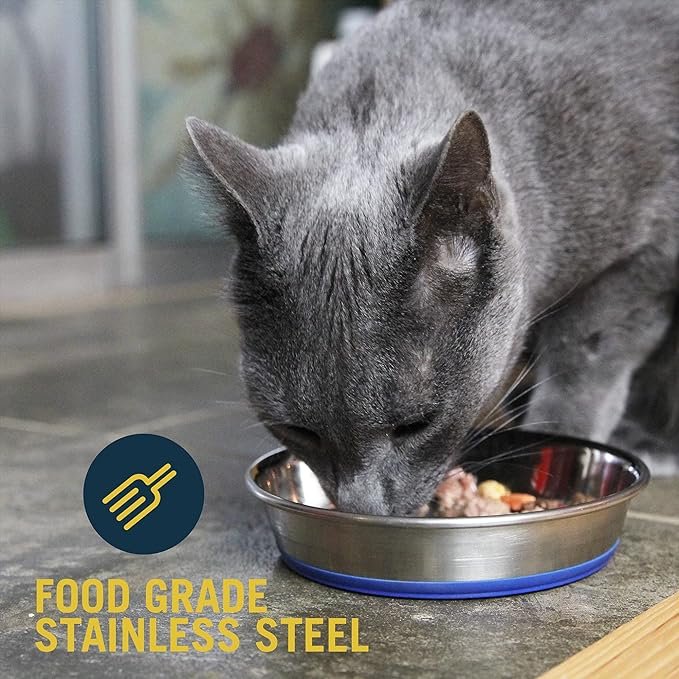 2 Our Pets DuraPet Stainless Steel Non-Slip (Cat Food Bowl or Water Bowl) (Holds up to 1 Cup of Dry Food or Wet Food) Easy to Clean