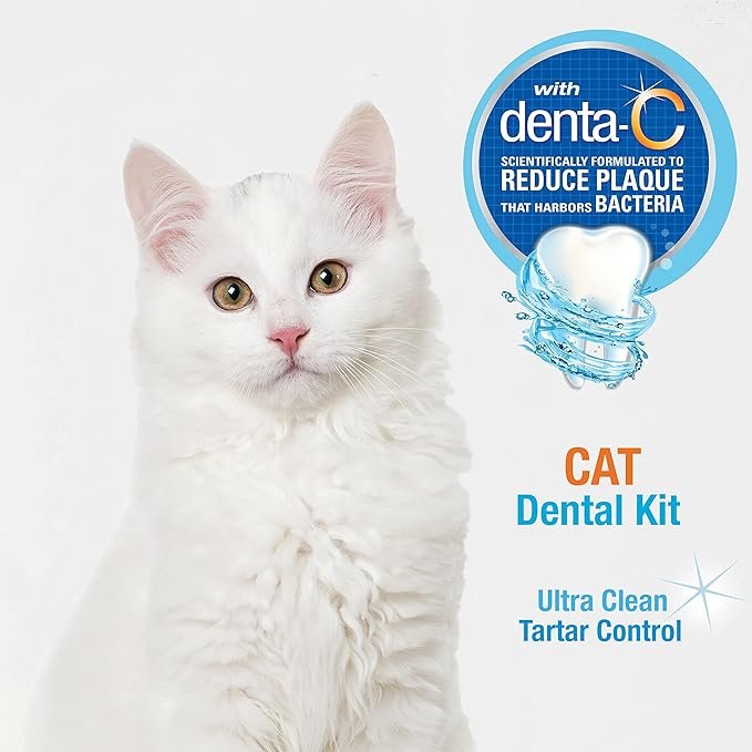 2 Nylabone Advanced Oral Care Cat Dental Kit Original (3 Count)