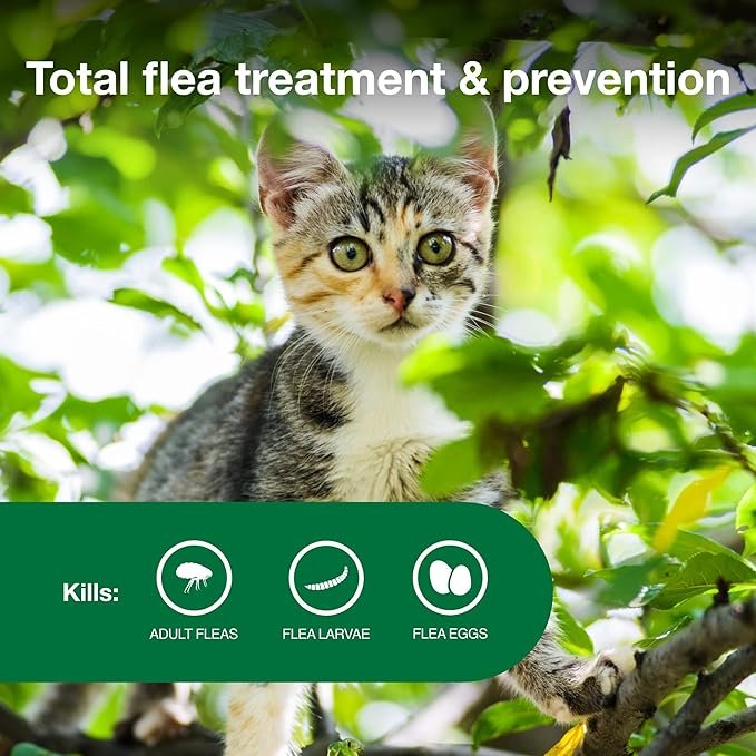 2 Advantage II Kitten Vet-Recommended Flea Treatment & Prevention | Cats 2-5 lbs. | 2-Month Supply
