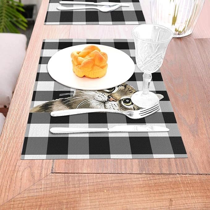 2 Check Funny Cat Table Placemats for Dining Table Set of 4 Washable 12x18 Inch Kitchen Decor Non Slip Heat-Resistant PVC Washable Table Mats Durable Placemats