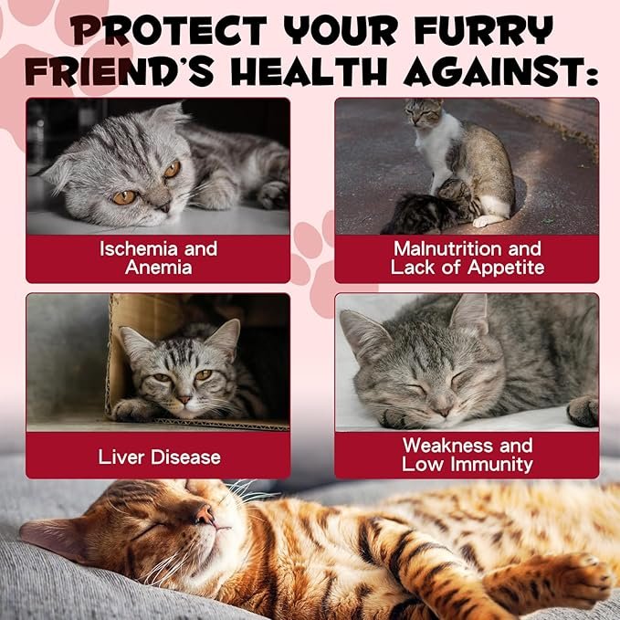 5 Liquid Iron Supplements for Cats,60ML,LiquiI Iron with Vitamin C and B12,Supports Anemia, Low Enery Levels and Lethargy,Promotes Blood Health, Helps with Formation of Red Blood Cell