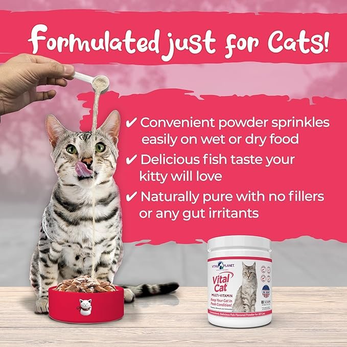2 Vital Planet - Vital Cat Multi Vitamin Mineral and Antioxidant Powder for Cats 75 gram 30 Servings