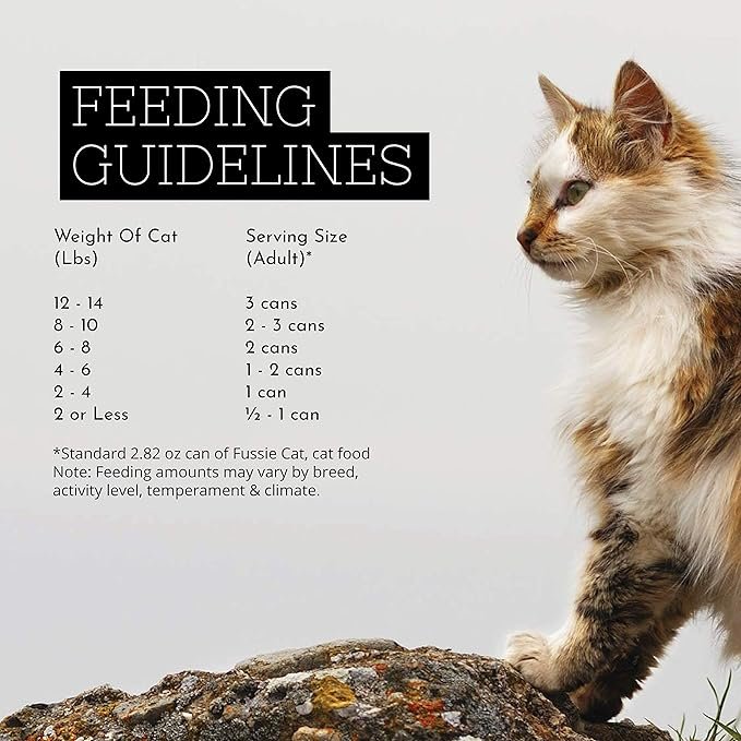 1 Fussie Cat Premium Tuna with Mussels in Aspic Grain-Free Wet Cat Food 2.82oz, case of 24