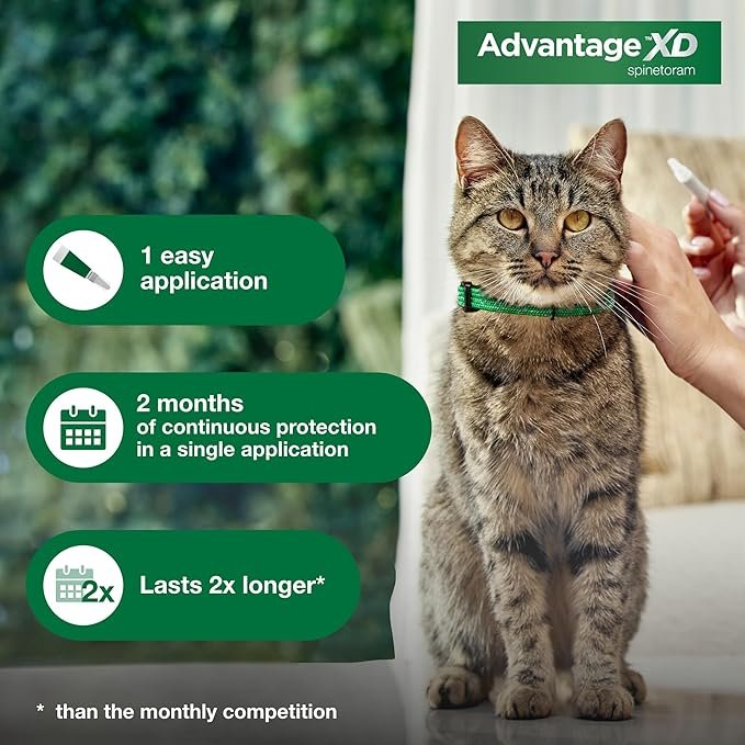 3 Advantage XD Small Cat Flea Prevention & Treatment For Cats 1.8-9lbs. | 2-Topical Doses, 2-Months of Protection Per Dose
