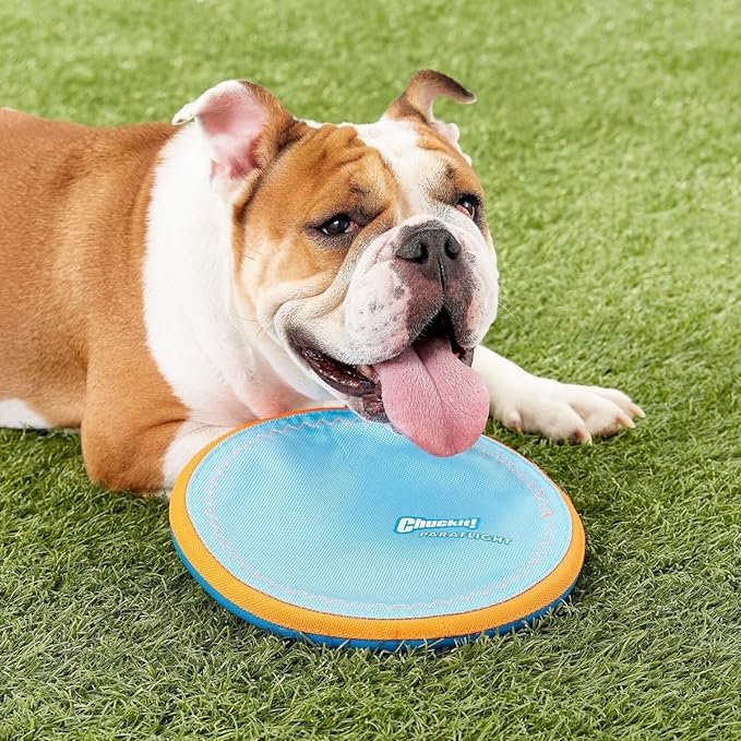 2 Chuckit! Mini Air Disc