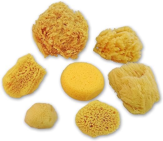 1 Natural Sea & Synthetic Sponges - Assorted Sizes 7pc Value Pack for Crafts & Artists: Great for Painting, Hobbies, Art, Effects, Ceramics, Clay, Pottery by Lullingworth®