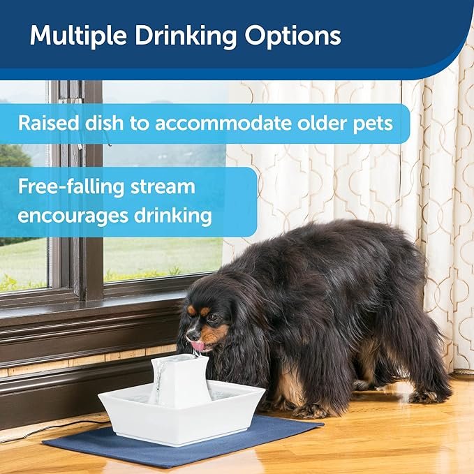 2 PetSafe Drinkwell Pagoda Pet Fountain - From in Knoxville, TN - Dog Water Bowl Dispenser - Multiple Angles to Drink From - Filters Included - Fountain Provides Water When Power’s Out - White