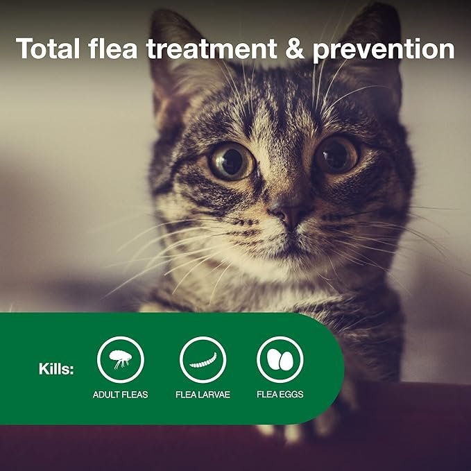 2 Advantage II Small Cat Vet-Recommended Flea Treatment & Prevention | Cats 5-9 lbs. | 6-Month Supply