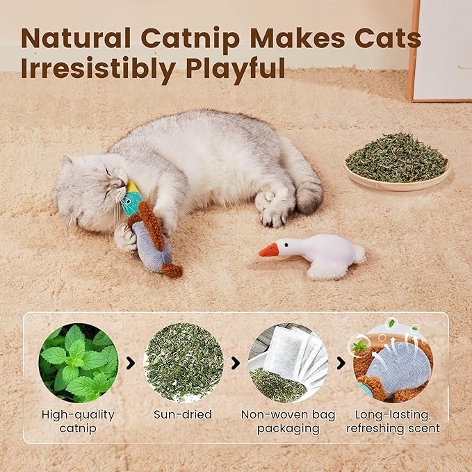 1 Potaroma Birds Cat Toys, 2 Pack Catnip Toys Soft Durable, Crinkle Sound Kicker Toys for Interactive Indoor Kitten Exercise 6.5 Inches for All Breeds