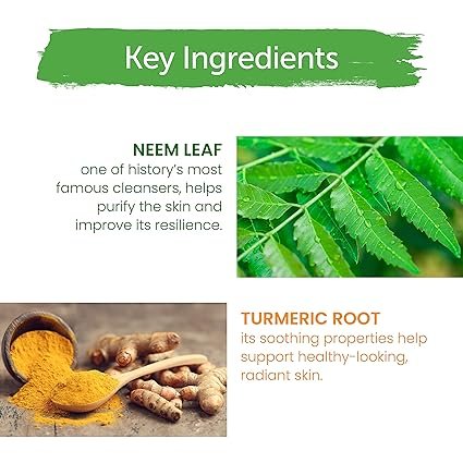 3 Himalaya Purifying Neem Face Wash, Normal to Oily Skin, for Occasional Acne, with Turmeric, Vegan, Cruelty Free, Soap Free, Paraben Free, Dermatologically Tested, SLS/SLES Free, 5.07 Fl Oz., 150 mL, 2 Pack