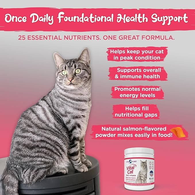 1 Vital Planet - Vital Cat Multi Vitamin Mineral and Antioxidant Powder for Cats 75 gram 30 Servings