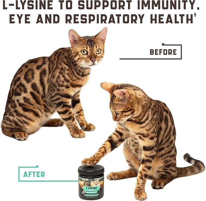 2 Lysine Cat Treats - Cat Immune Support - Help Improve Respiratory Health and Eye Function - Enriched with Vitamin B, Calcium, Protein