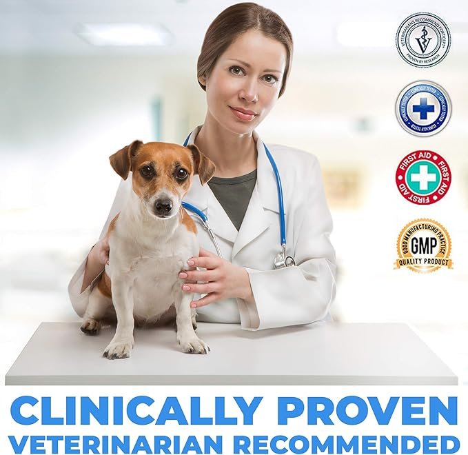 4 Forticept Dog Ear Infection Treatment, Dog Ear Cleaner, Itch Relief Cat and Dog Ear Wash Flush 8 oz