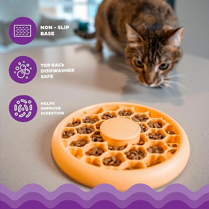 2 Catstages by Catstages Cat Slow Feeder Bowl Cat Bowl for Dry Food Wet Food Interactive Cat Feeder, One Size, Orange