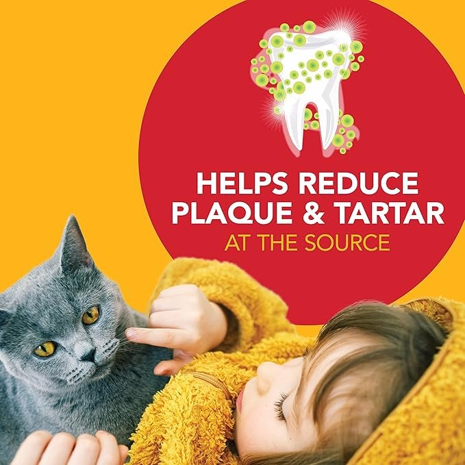 1 Petrodex Dental Care Kit for Cats, Cat Toothbrush and Toothpaste, Cleans Teeth and Fights Bad Breath, Reduces Plaque Tartar Formation, Malt Flavor, 2.5oz Toothpaste + Toothbrush