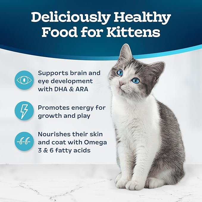 2 Blue Buffalo Tastefuls Kitten Food With DHA Dry Cat Food Made in the USA with Natural Ingredients, Chicken Recipe, 7-lb. Bag