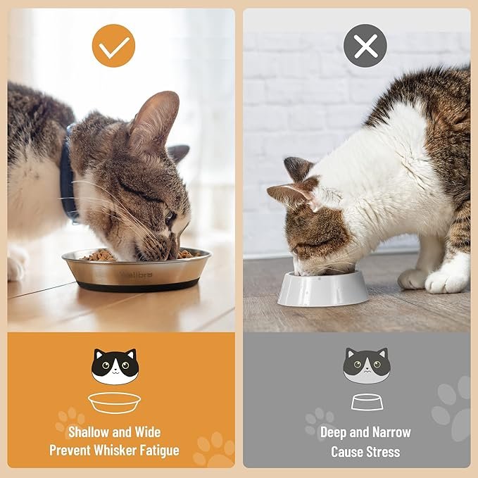 1 Wellbro Cat Bowls, 2 Pcs Stainless Steel Cat Bowls for Food and Water, Whisker Fatigue Shallow Non-Slip Cat Dishes Plates for Small Dog Puppies Cats