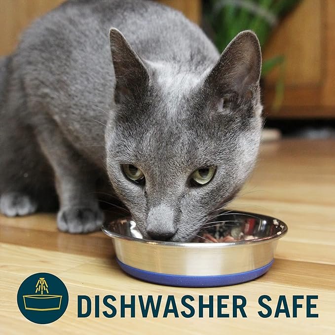 4 Our Pets DuraPet Stainless Steel Non-Slip (Cat Food Bowl or Water Bowl) (Holds up to 1 Cup of Dry Food or Wet Food) Easy to Clean