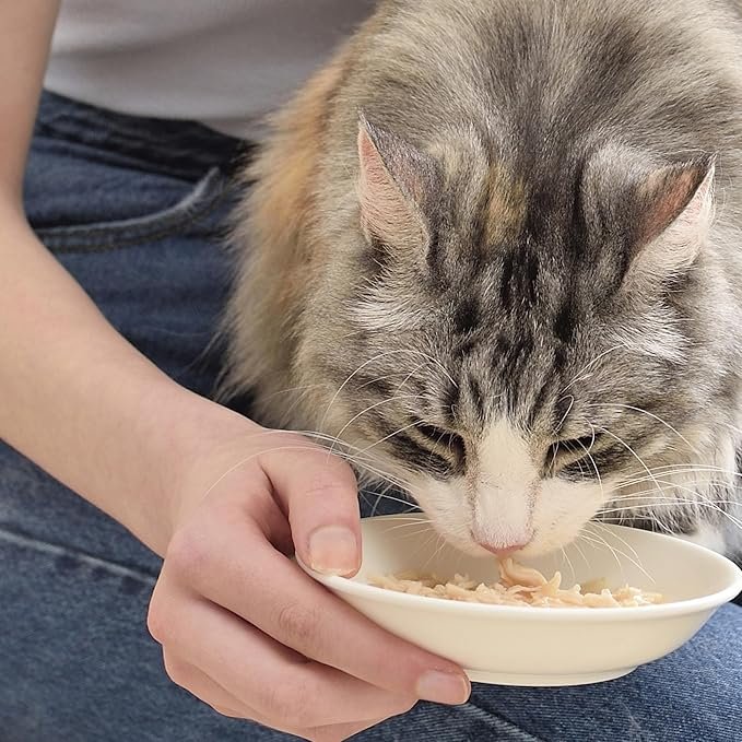 4 Inaba Chicken Broth, Shredded Chicken & Broth Side Dish/Topper for Cats with Vitamin E, 1.76 Ounce Pouch, 8 Pouches Total, Chicken Recipe