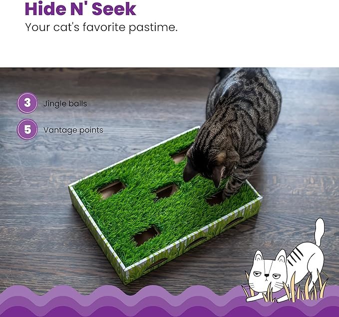 2 Catstages Grass Patch Hunting Box Cat Toy