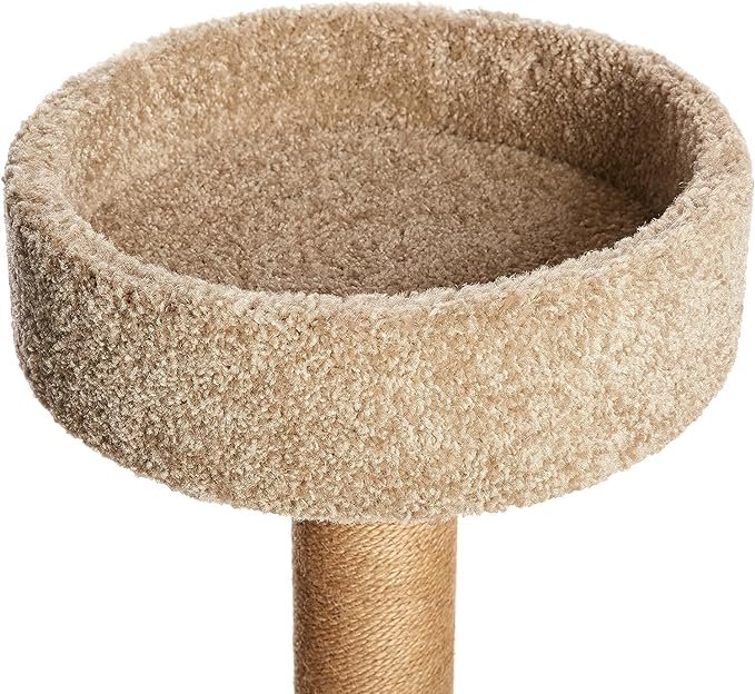 2 Amazon Basics Cat Tree Indoor Climbing Activity Tower with Scratching Posts, Medium, 15.7 x 31.5 Inches, Beige