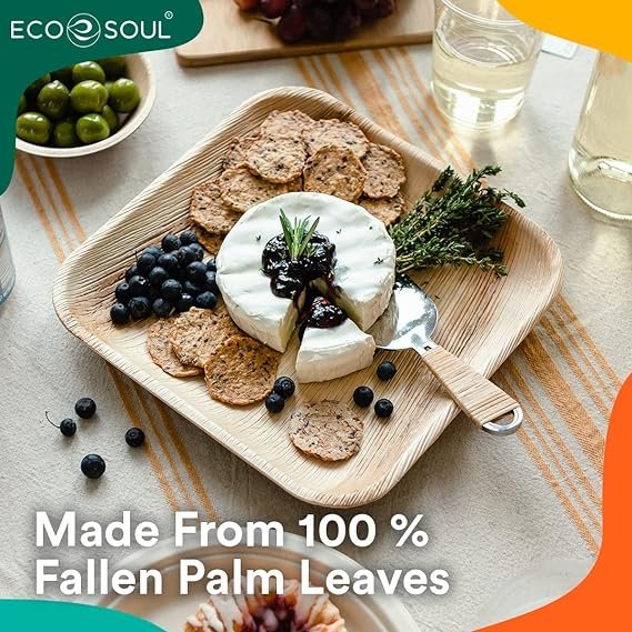 1 Compostable 10 Inch Palm Square Leaf Plates [20-Pack]