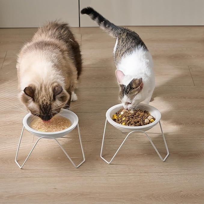 2 CEEFU 2-Pack Ceramic Raised Cat Bowls for Food and Water, Elevated Pet Dishes Bowls with Stand, Cats and Small Dogs, Dishwasher Safe