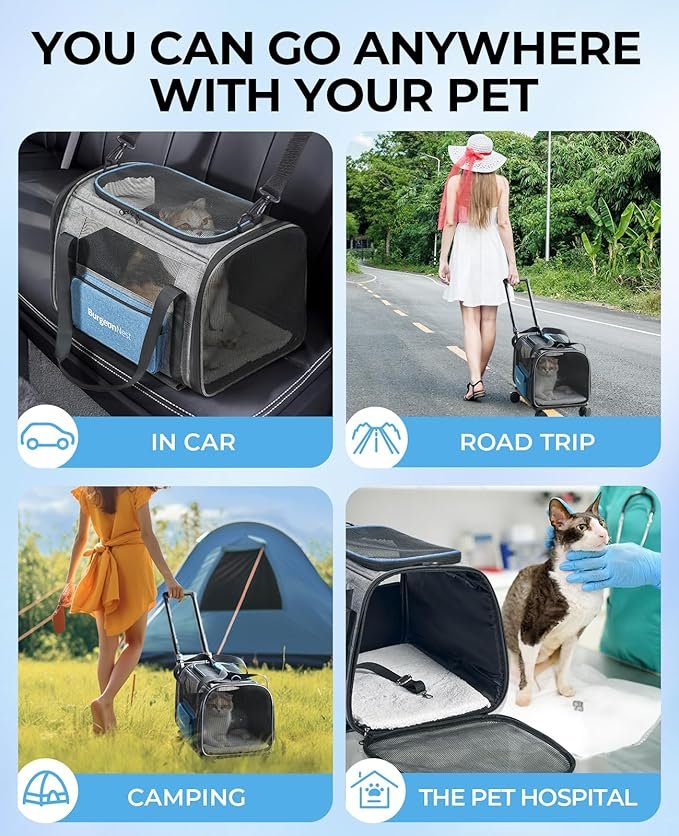 4 BurgeonNest Cat Carrier with Wheels, Pet Carrier for Dogs 25 lbs with Telescopic Handle, Small Dog Carrier with Wheels Removable, Soft Rolling Cat Carrier with Large Pocket for Travel Vet Visits