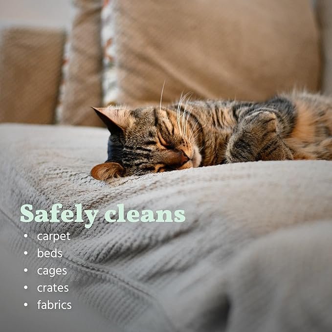 3 naturally it's clean Pet Stain & Odor Remover | Eliminates Blood, Feces, Urine, Vomit, Grass Stains, Mud, and Other Natural Organic Matter | 2 Pack