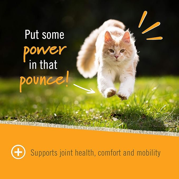 4 Pet Naturals Hip and Joint Support Supplement for Cats, 30 Chews - Glucosamine, Chondroitin and MSM for Cats