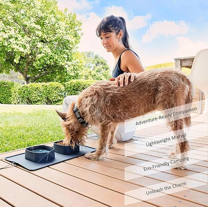 1 Generic Portable Pet Feeder, Silicone Bowls for Dog and Cat Travel, Collapsible Dish for Food and Water, 2-in-1 Solution with Adjustable Bow Ties