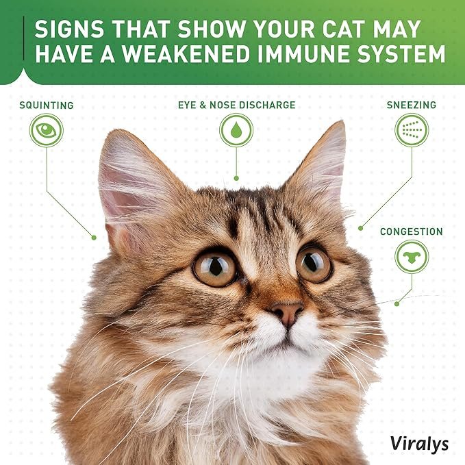 1 Vetoquinol Viralys Gel L-Lysine Supplement for Cats, 5oz - Cats & Kittens of All Ages - Immune Health - Sneezing, Runny Nose, Squinting, Watery Eyes - Palatable Maple Flavor Lysine Gel