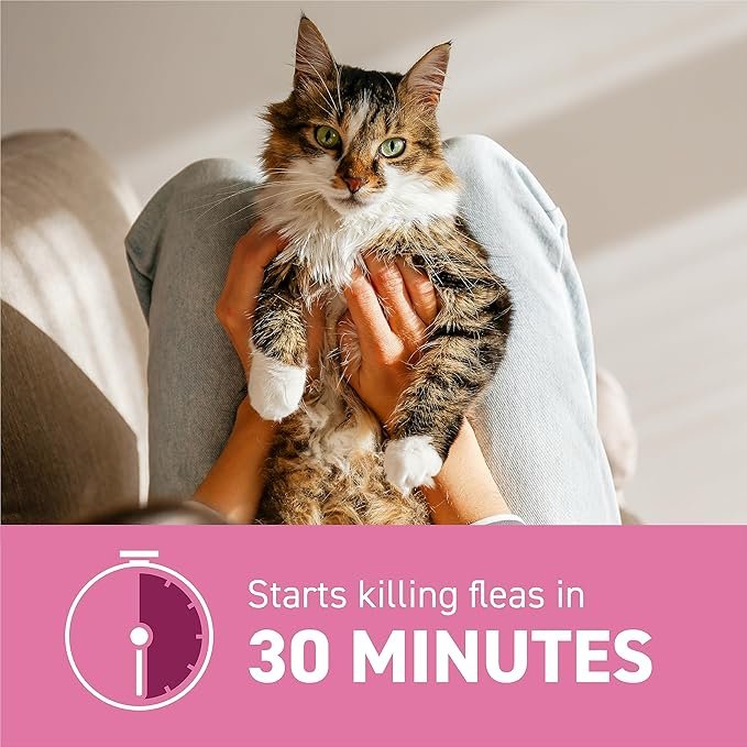 1 Capstar (nitenpyram) for Cats, Fast-Acting Oral Flea Treatment for Cats 2-25 lbs, Vet-Recommended Flea Medication Tablets Start Killing Fleas in 30 Minutes, 6 Doses
