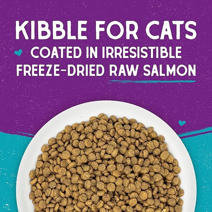 3 Stella & Chewy's Raw Coated Premium Kibble Cat Food – Grain Free, Protein Rich Meals – Wild Caught Salmon Recipe – 2.5 lb. Bag