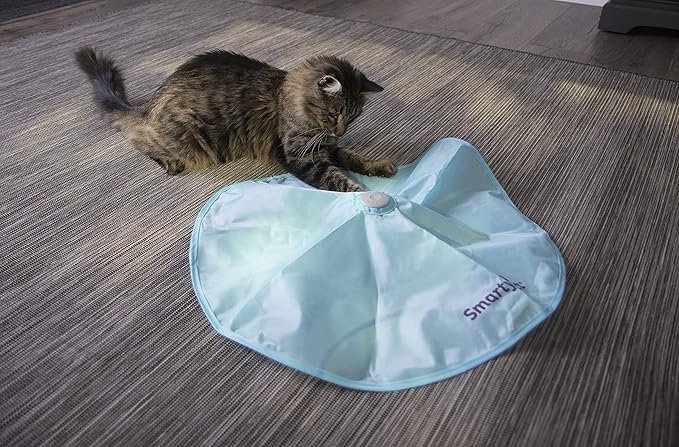 2 SmartyKat Hot Pursuit Electronic Concealed Motion Cat Toy, Battery Powered - Blue, One Size