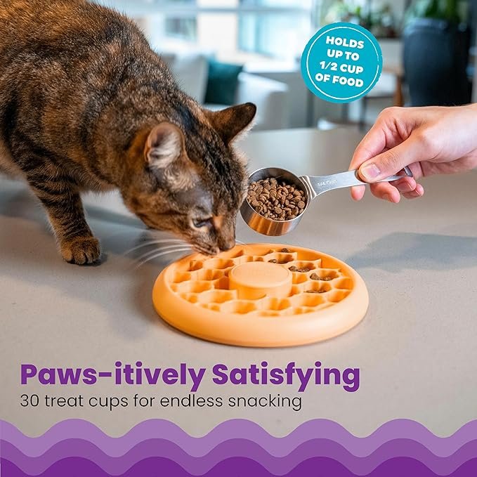 1 Catstages by Catstages Cat Slow Feeder Bowl Cat Bowl for Dry Food Wet Food Interactive Cat Feeder, One Size, Orange