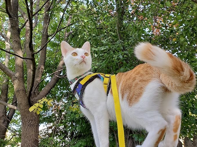 3 Travel Cat & Stray Cat Harness and Leash Set - Adjustable Fit Mesh Cat Harness and Reflective Strap - Comfort Escape Proof Harness for Cats, Kitten for Outdoor Walking, Hiking (Small, 90s Cat)