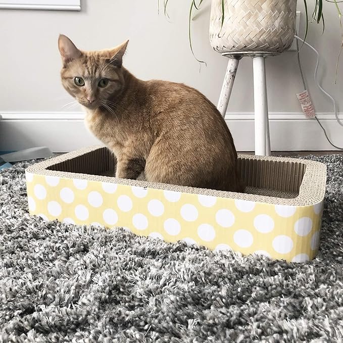 1 Petrageous 13079 Jerrys Rectangular Corrugated Cat Lounge Scratcher 20-Inch Long 12-Inch Wide 3.5-Inch Tall with Cat Nip is Great for Cats, Yellow (Pack of 1)