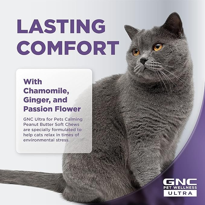 2 GNC Pets Ultra Calming Soft Chews, Cats, Chicken Flavor. 60-ct in an 8-oz Canister | Calming Cat Supplements in Chicken Flavor | Vitamin Supplement for Cats with Anxiety