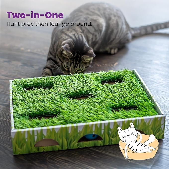 4 Catstages Grass Patch Hunting Box Cat Toy