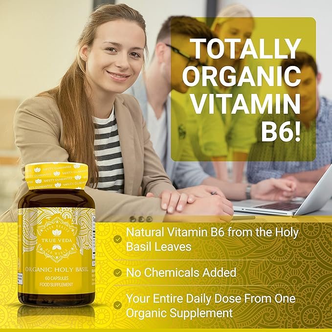 2 Holy Basil Capsules - USDA Organic Vitamin B6 Capsules | High Strength Vitamin B6 and 2.5% Ursolic Acid | Tulsi Holy Basil Leaf Capsules | Holy Basil Extract 15:1 | Herbal Supplement | 60 Vegan Pills
