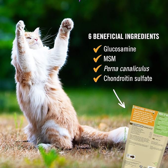 2 Pet Naturals Hip and Joint Support Supplement for Cats, 30 Chews - Glucosamine, Chondroitin and MSM for Cats